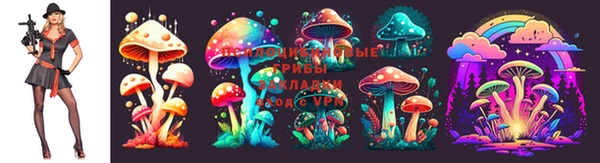 jwh Аркадак